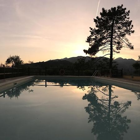 Agriturismo Il Pino San Martino in Freddana Exterior foto