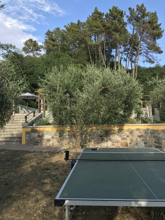 Agriturismo Il Pino San Martino in Freddana Exterior foto