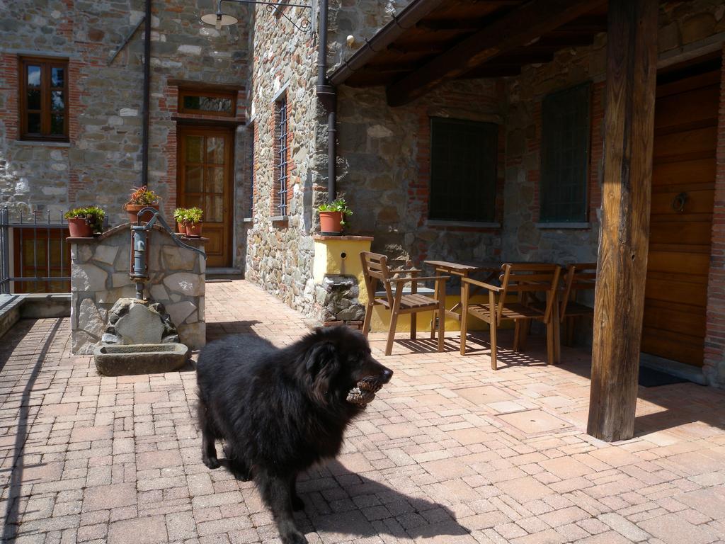 Agriturismo Il Pino San Martino in Freddana Exterior foto